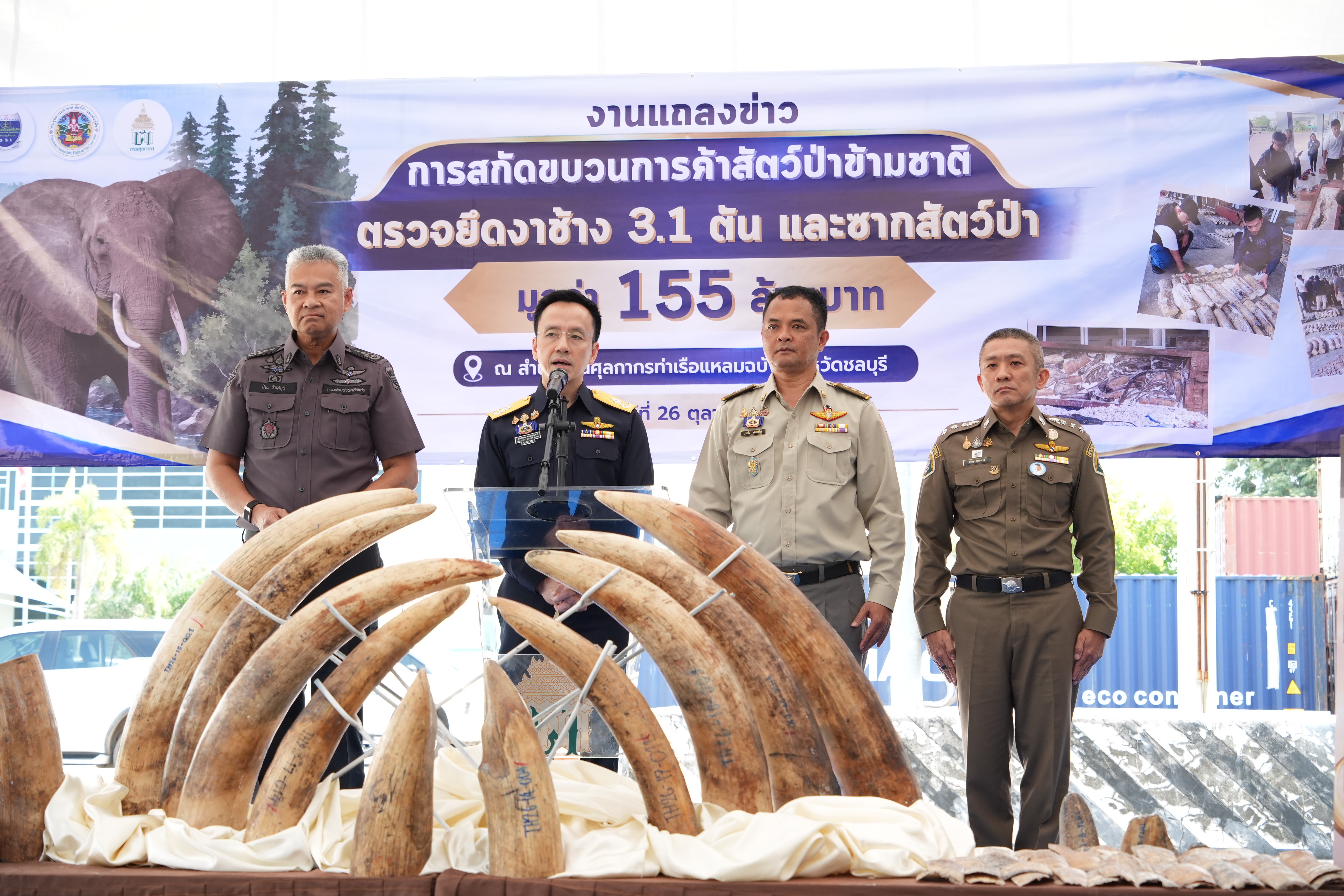 กรมศุลกากรทลายขบวนการลักลอบค้างาช้างข้ามชาติ ซุกซ่อนไม้แปรรูป ตรวจยึดกว่า 3.1 ตัน มูลค่าสูงถึง 155 ล้านบาท — ภาพที่ 3