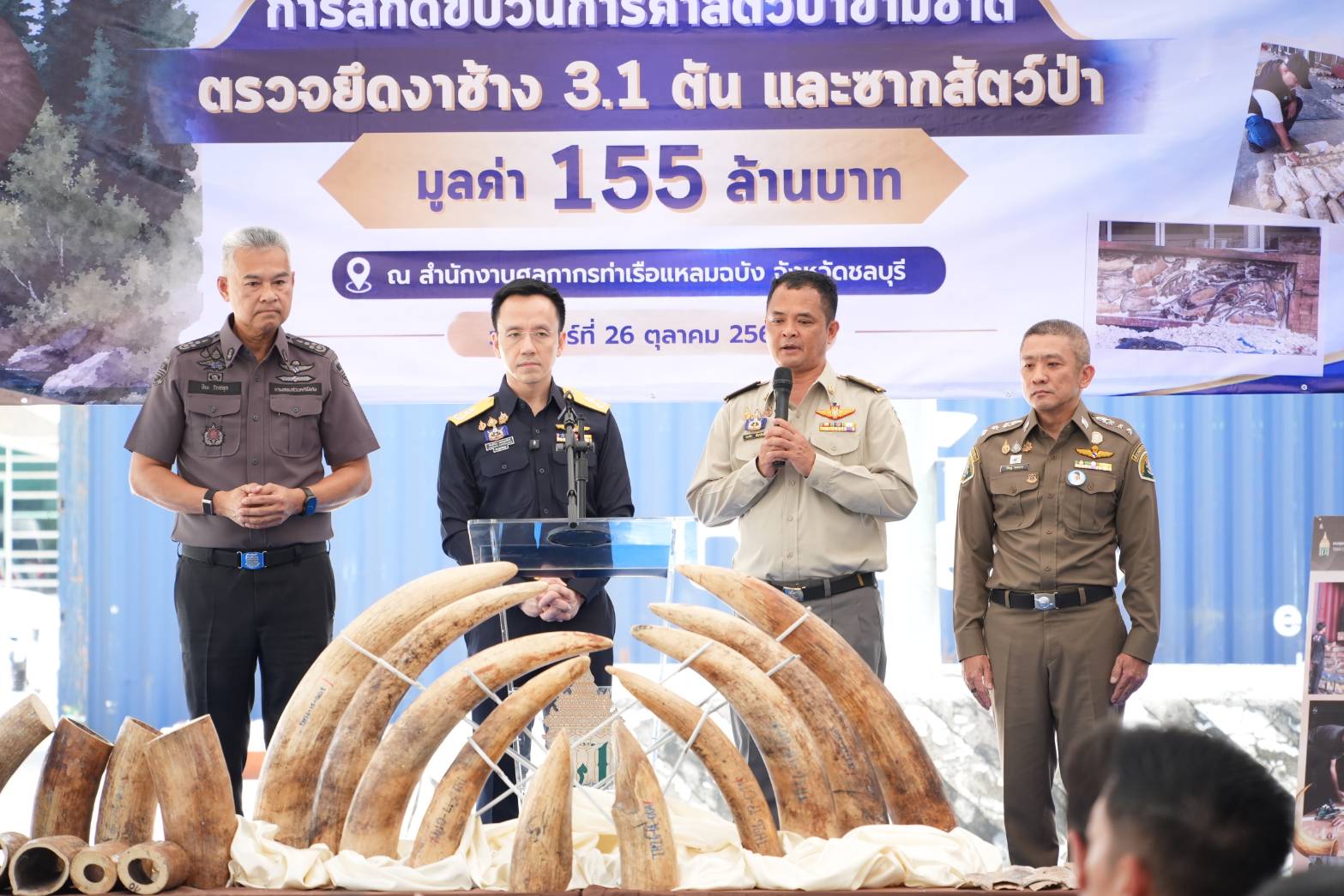 กรมศุลกากรทลายขบวนการลักลอบค้างาช้างข้ามชาติ ซุกซ่อนไม้แปรรูป ตรวจยึดกว่า 3.1 ตัน มูลค่าสูงถึง 155 ล้านบาท — ภาพที่ 5