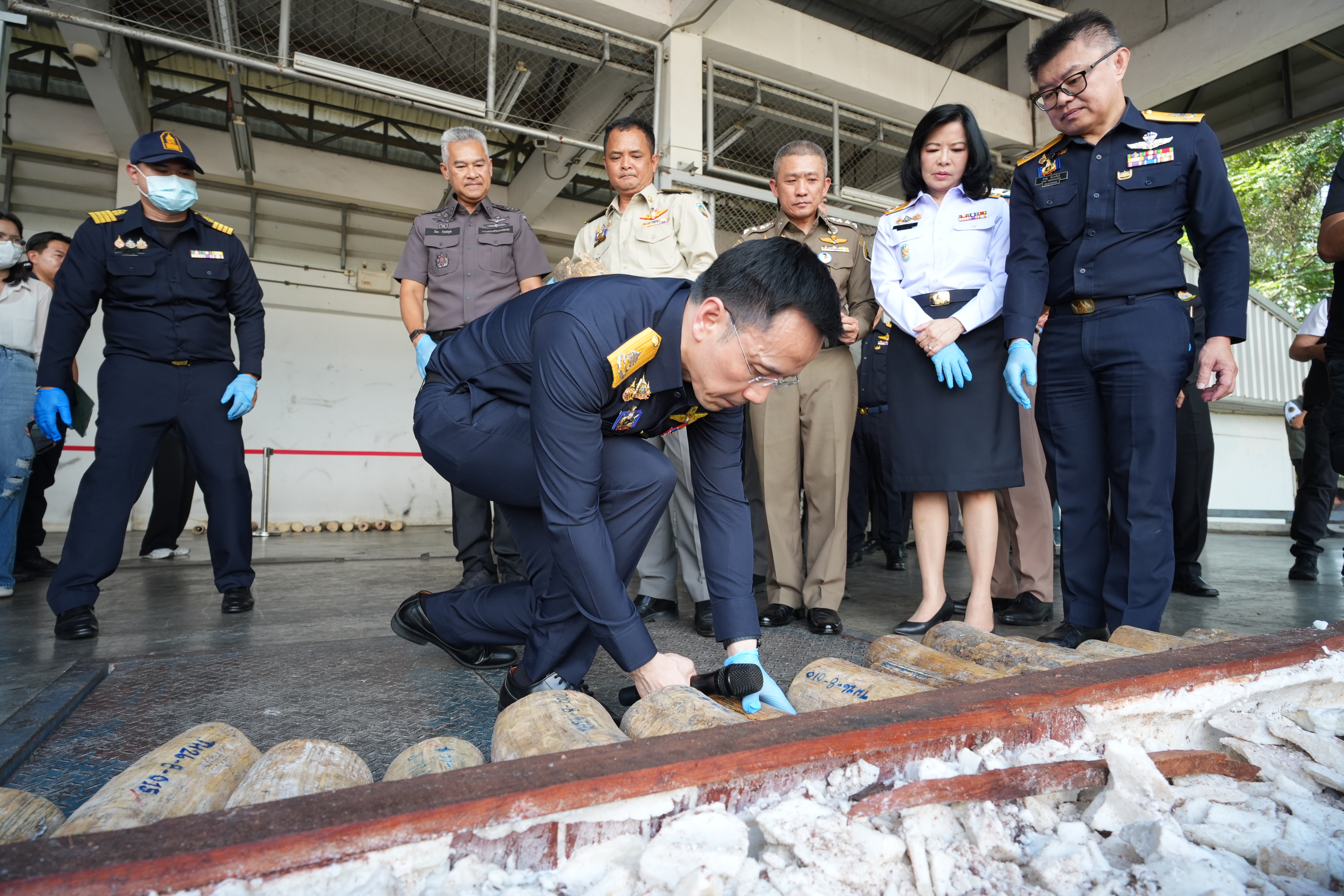 กรมศุลกากรทลายขบวนการลักลอบค้างาช้างข้ามชาติ ซุกซ่อนไม้แปรรูป ตรวจยึดกว่า 3.1 ตัน มูลค่าสูงถึง 155 ล้านบาท — ภาพที่ 10