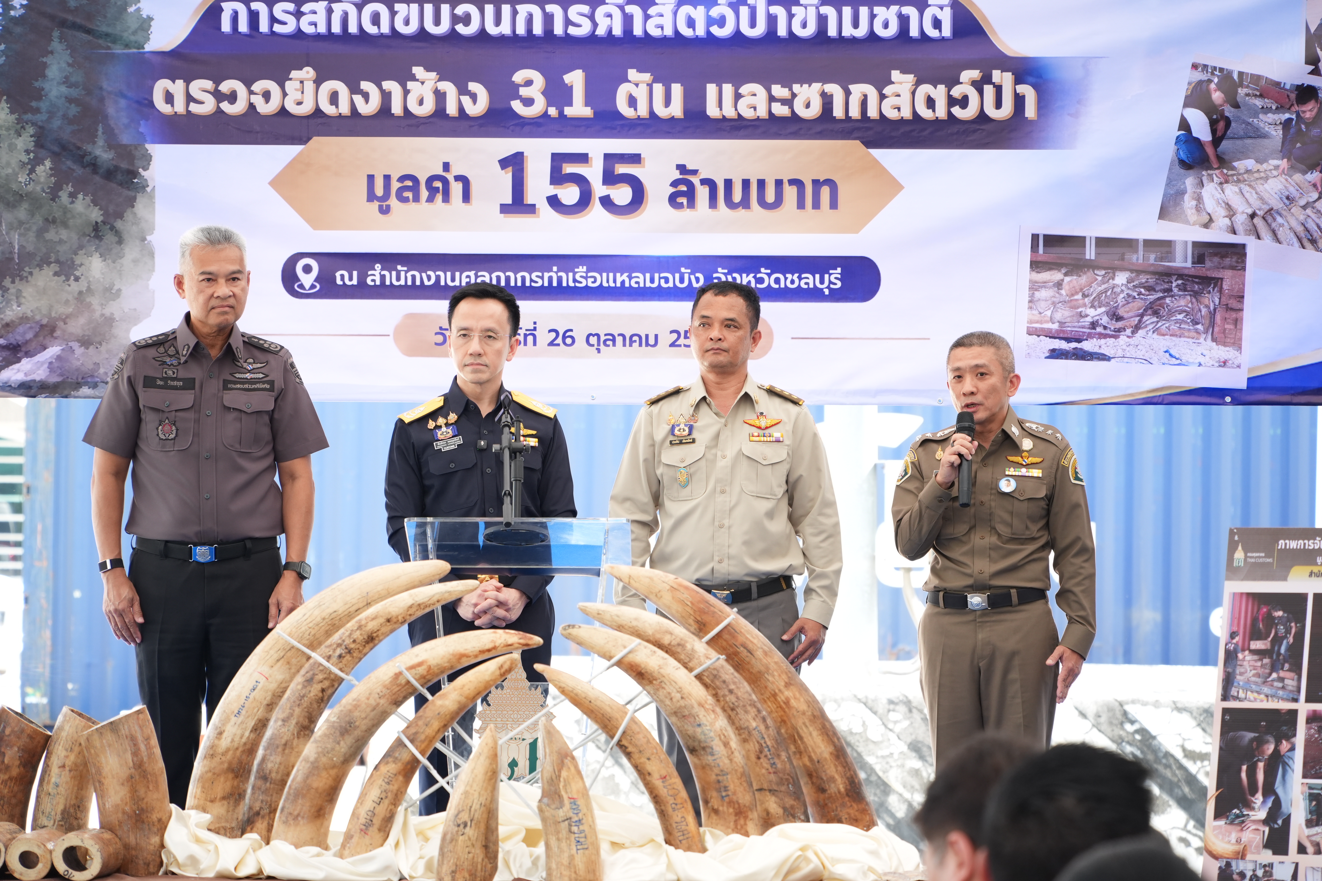 กรมศุลกากรทลายขบวนการลักลอบค้างาช้างข้ามชาติ ซุกซ่อนไม้แปรรูป ตรวจยึดกว่า 3.1 ตัน มูลค่าสูงถึง 155 ล้านบาท — ภาพที่ 6