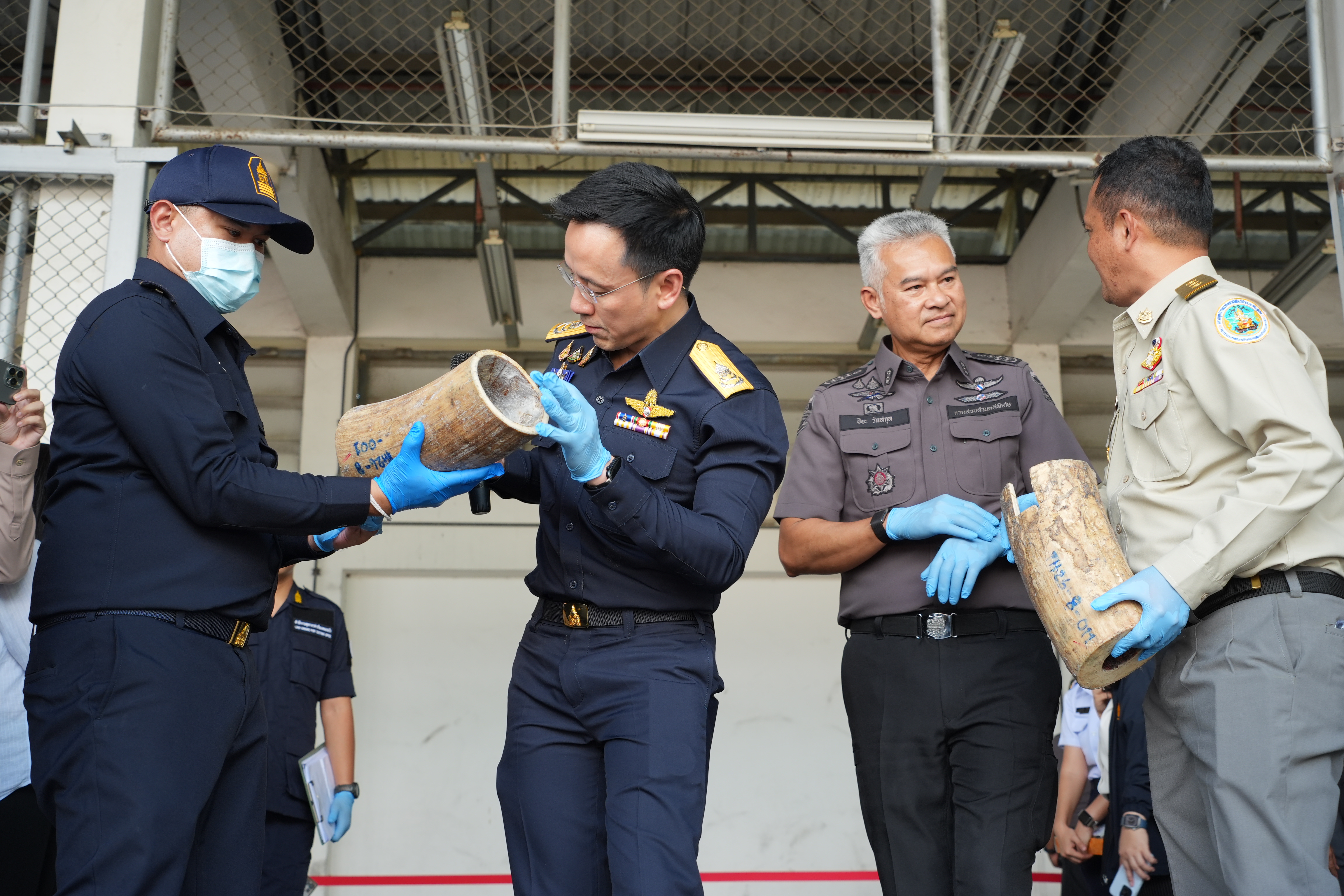 กรมศุลกากรทลายขบวนการลักลอบค้างาช้างข้ามชาติ ซุกซ่อนไม้แปรรูป ตรวจยึดกว่า 3.1 ตัน มูลค่าสูงถึง 155 ล้านบาท — ภาพที่ 7